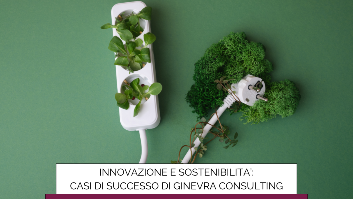 Ginevra Consulting Responsabilita-strategica-sullevoluzione-del-progetto-il-ruolo-di-Roberto-Tomei-11 MAGAZINE  